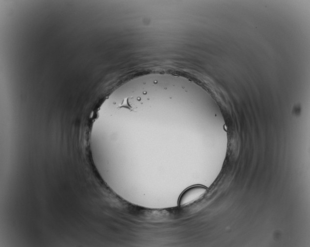 X0000103450525200809121128