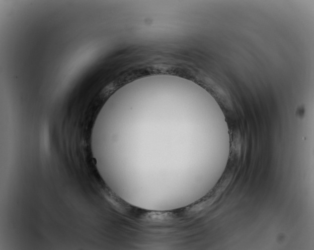 X0000103450526200809121128