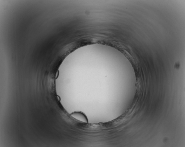 X0000103450527200809121128