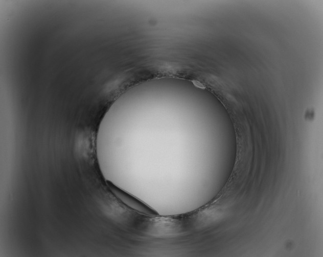 X0000103450528200809121128