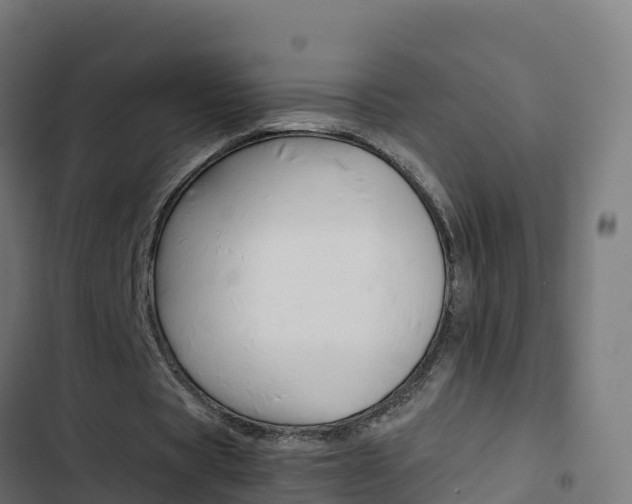 X0000103450529200809121128
