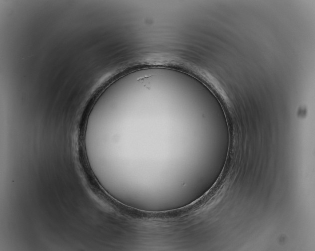 X0000103450530200809121128