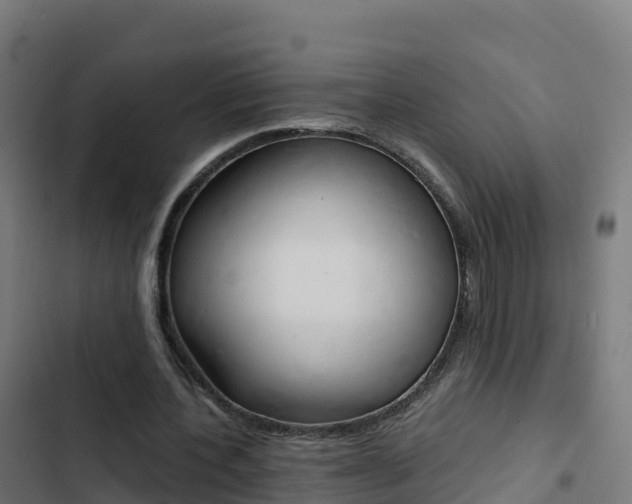 X0000103450532200809121128