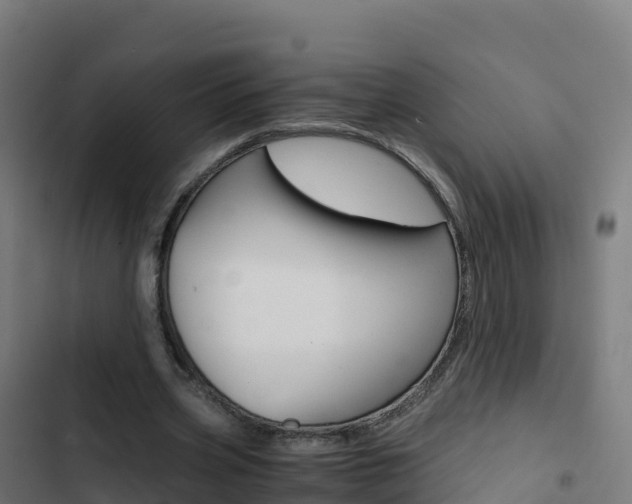 X0000103450533200809121128