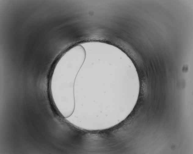 X0000103450534200809121128