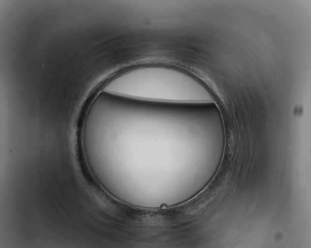 X0000103450535200809121128