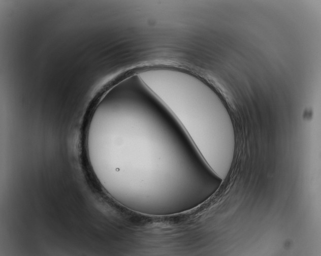 X0000103450536200809121128