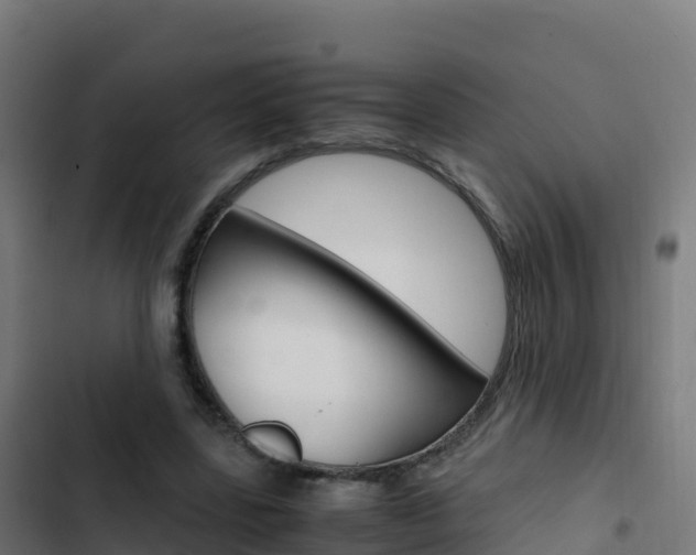 X0000103450539200809121128