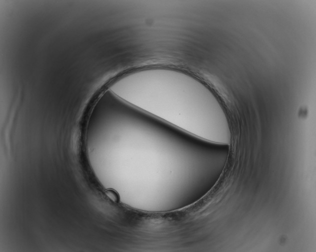 X0000103450540200809121128