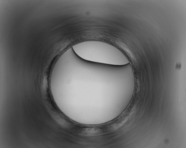 X0000103450541200809121128