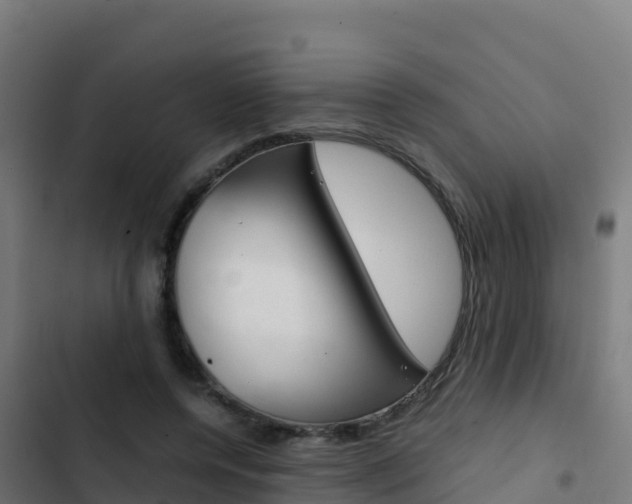 X0000103450544200809121128