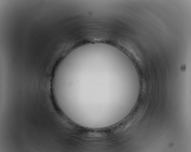 X0000103450545200809121128
