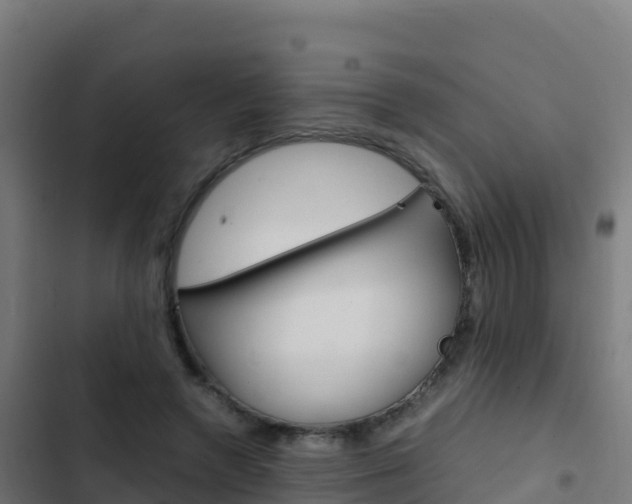 X0000103450546200809121128