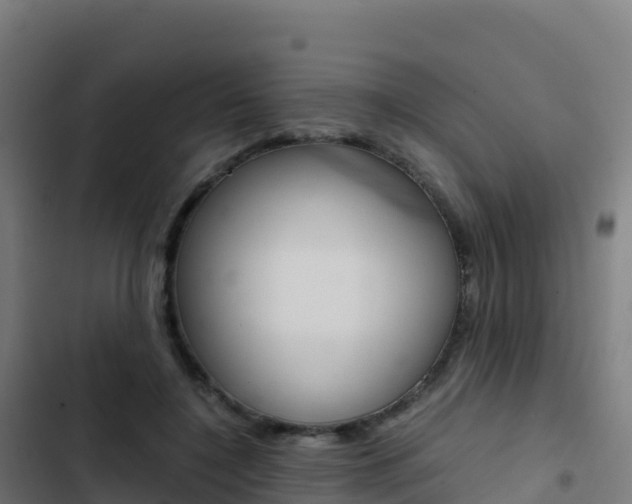 X0000103450548200809121128