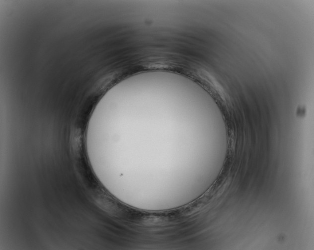 X0000103450549200809121128