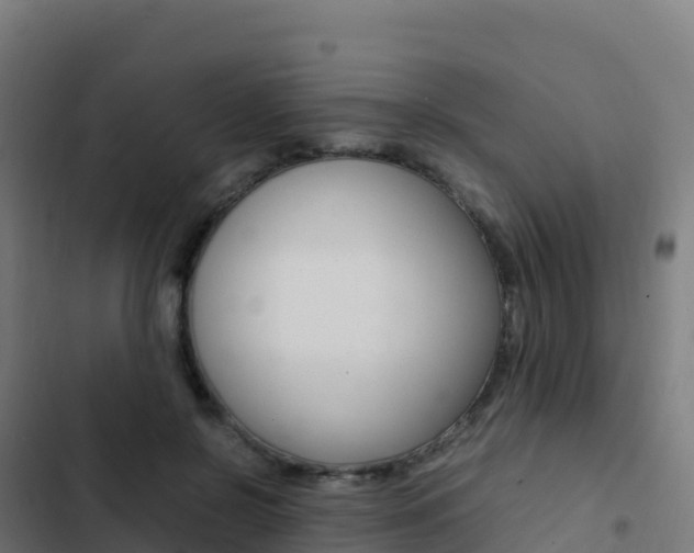 X0000103450550200809121128