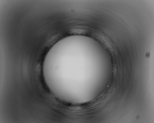 X0000103450551200809121128