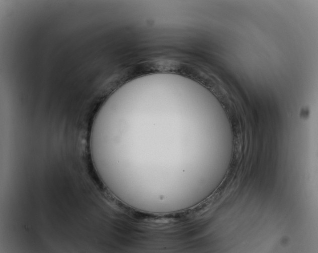 X0000103450553200809121128