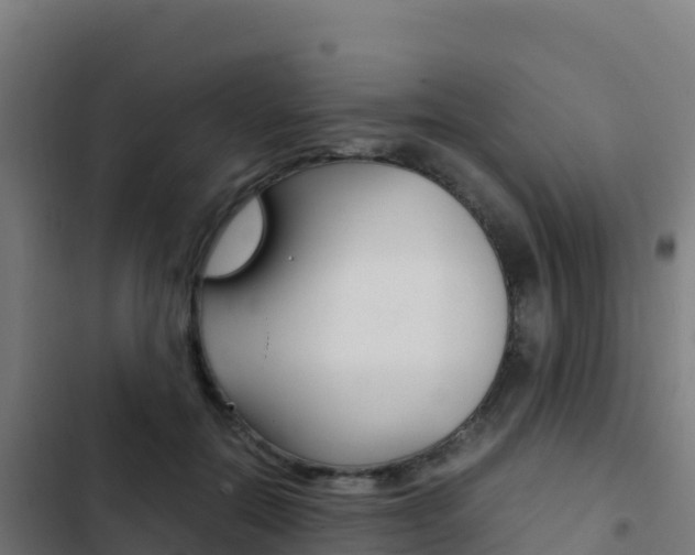 X0000103450554200809121128