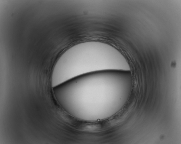 X0000103450555200809121128