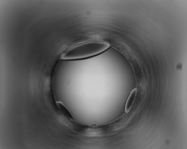 X0000103450556200809121128