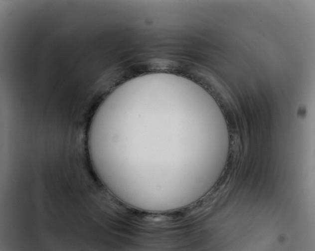 X0000103450557200809121128