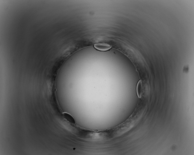 X0000103450558200809121128
