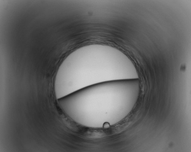 X0000103450559200809121128