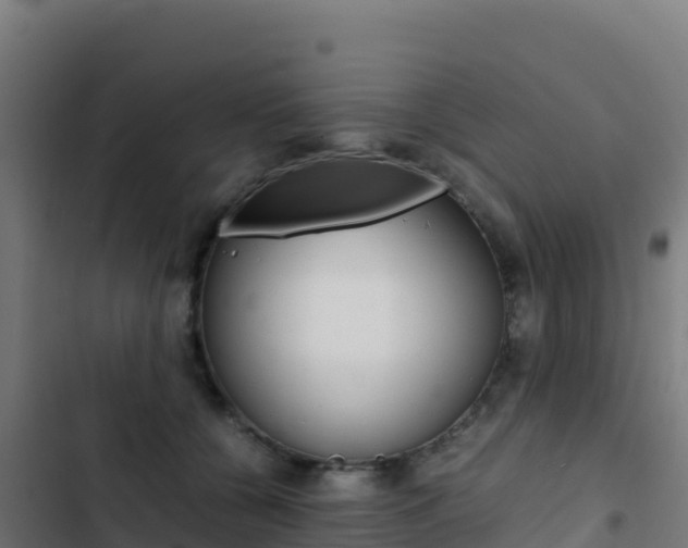 X0000103450560200809121128