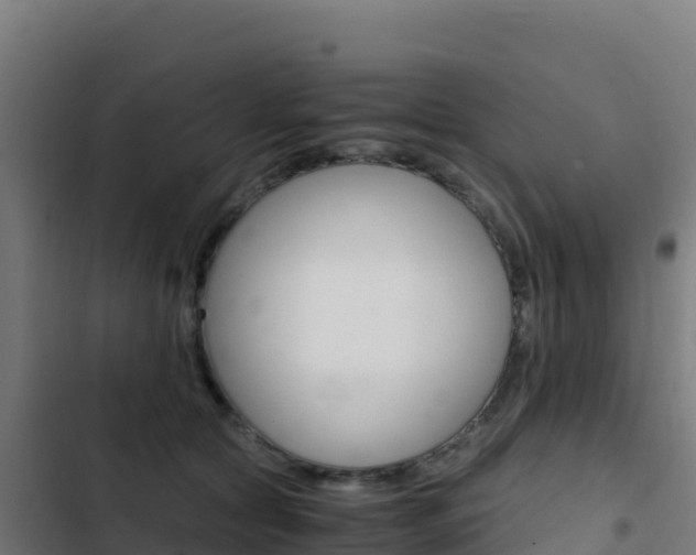 X0000103450561200809121128