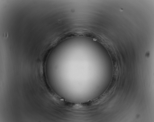 X0000103450562200809121128