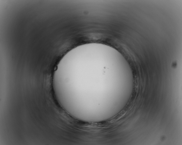 X0000103450563200809121128