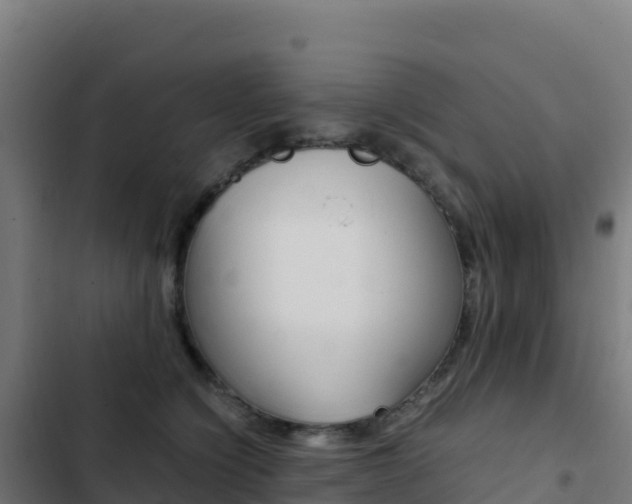 X0000103450564200809121128