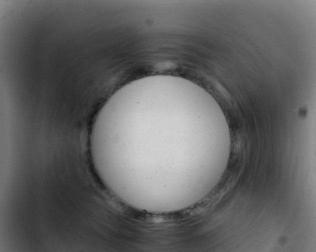 X0000103450565200809121128