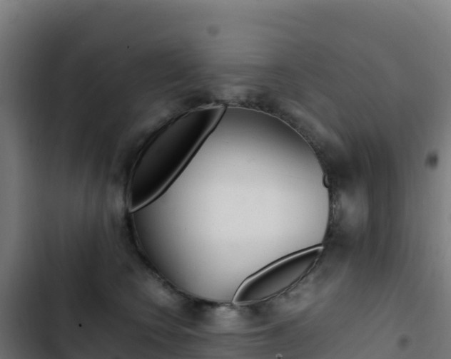 X0000103450566200809121128