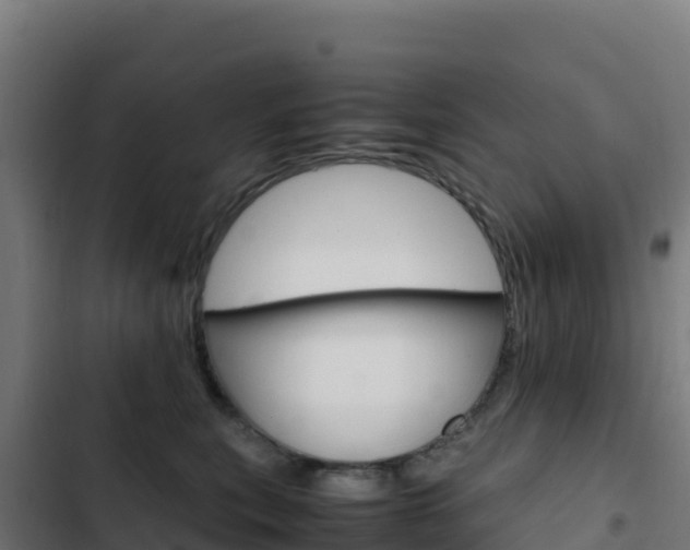 X0000103450567200809121128