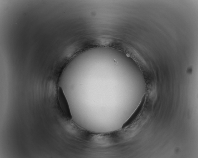 X0000103450568200809121128