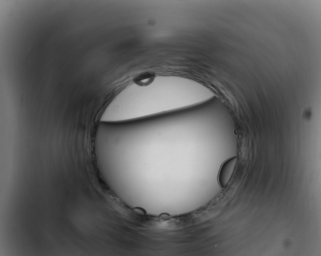 X0000103450569200809121128