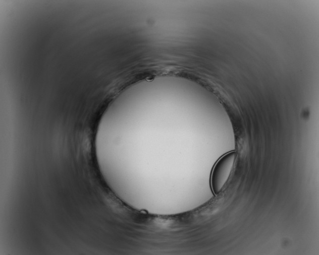 X0000103450570200809121128