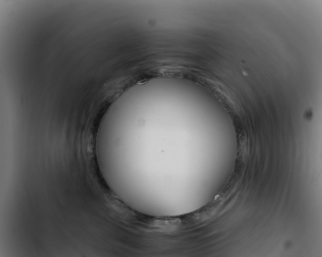 X0000103450571200809121128