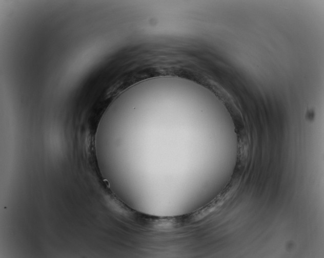 X0000103450574200809121128