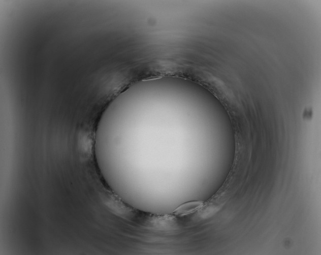 X0000103450576200809121128