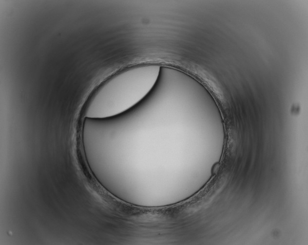 X0000103450578200809121128