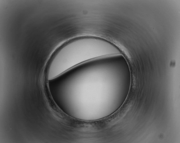 X0000103450580200809121128