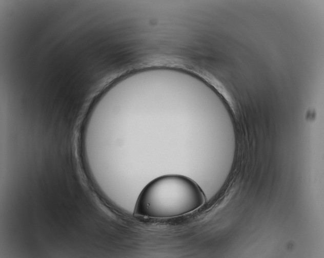 X0000103450581200809121128