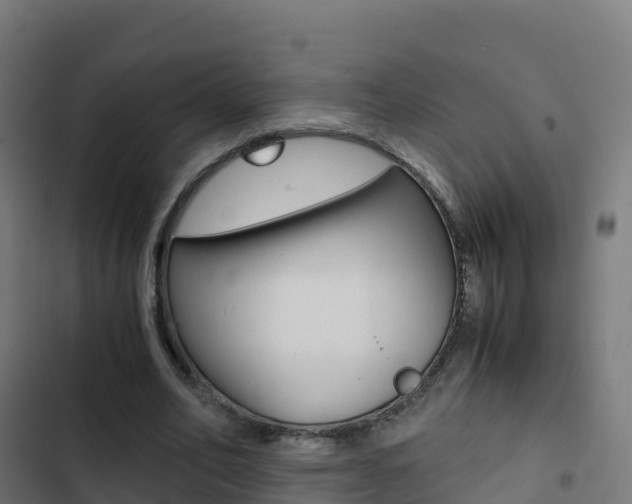X0000103450582200809121128