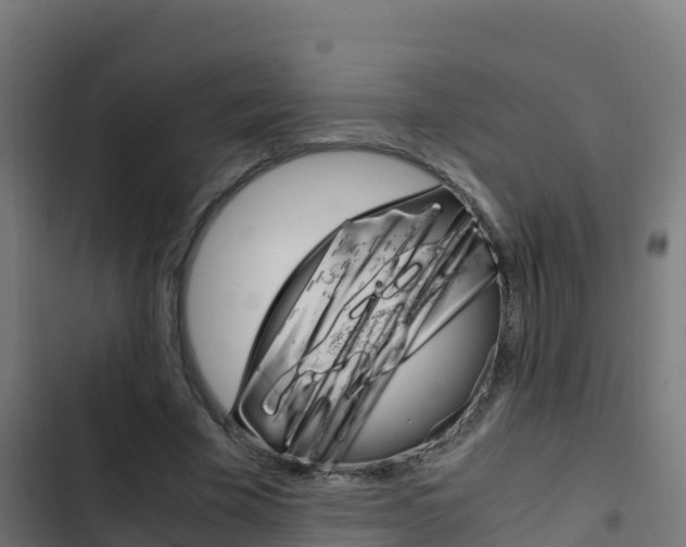 X0000103450585200809121127