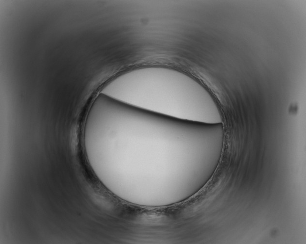 X0000103450586200809121127