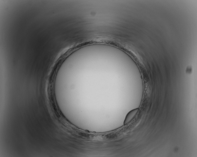 X0000103450587200809121127