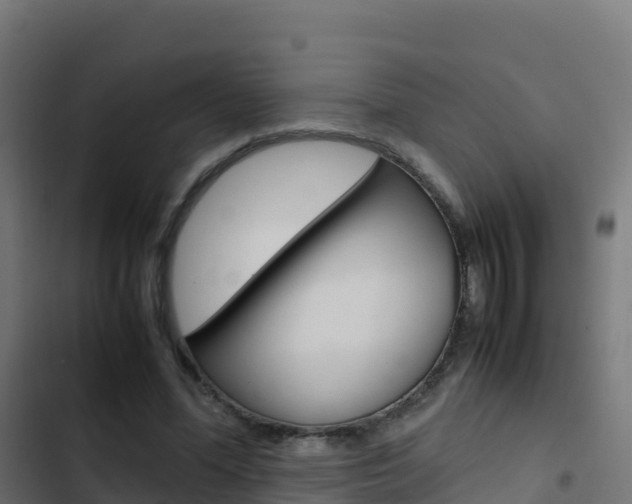 X0000103450588200809121127
